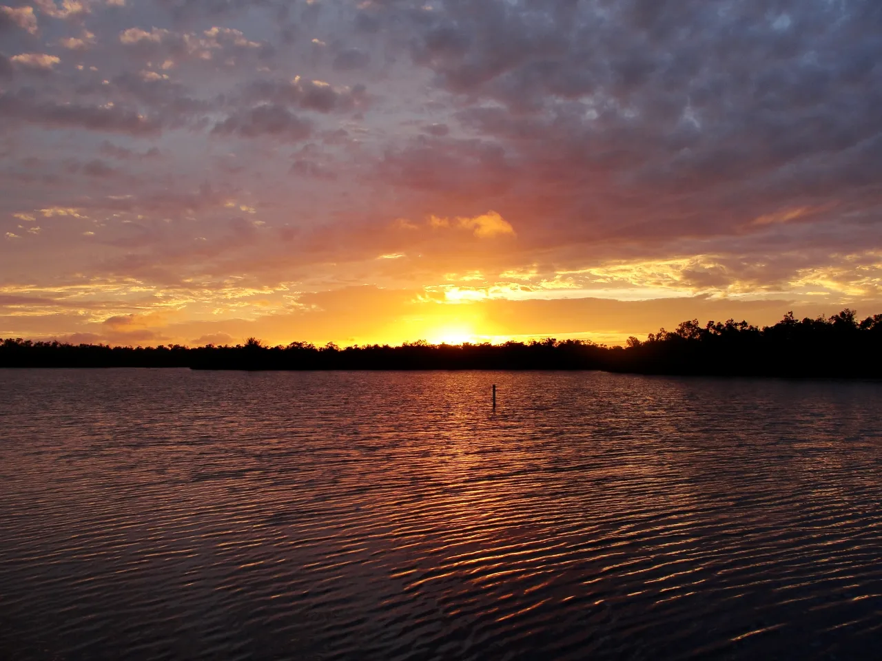 Sunset over calm water with silhouetted treeline, sky in orange, pink and purple hues, peaceful mood